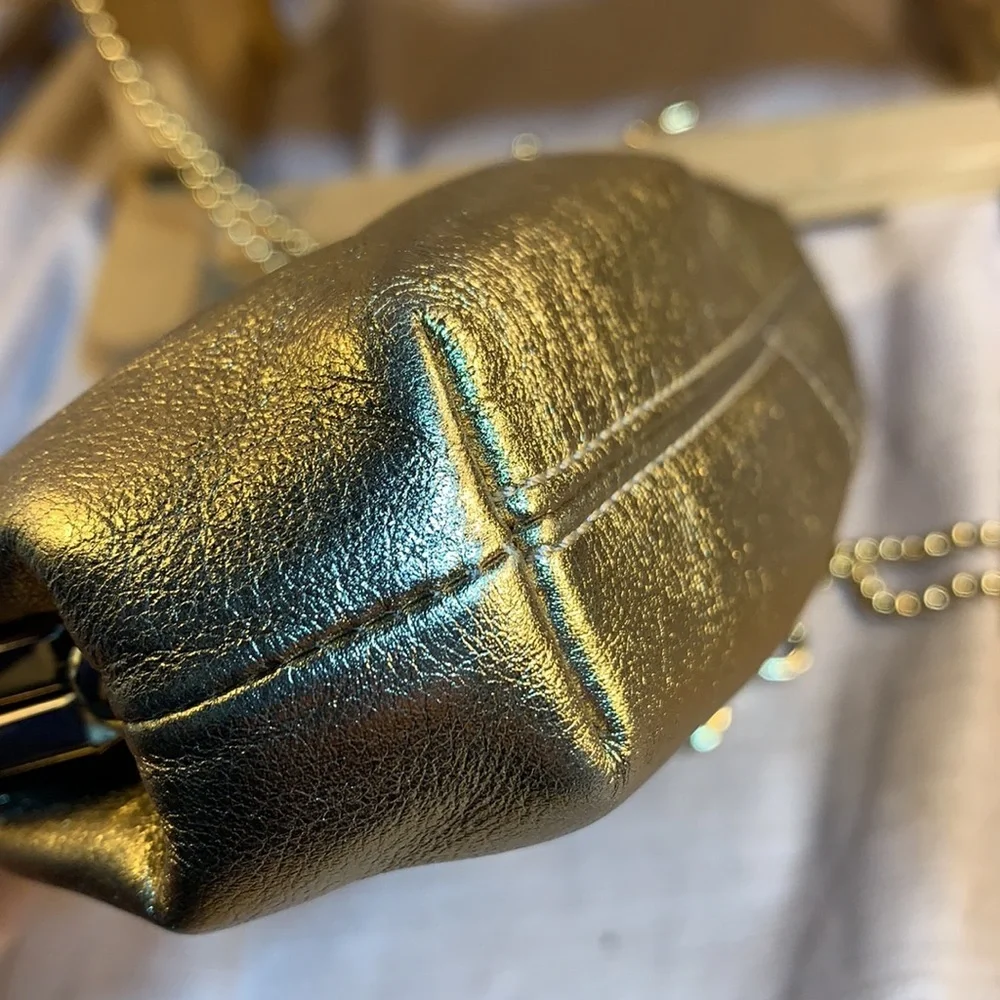 Coach leather EXTREMELY RARE clutch/shoulder bag